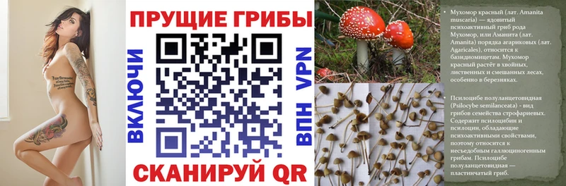 Псилоцибиновые грибы GOLDEN TEACHER  Алушта 