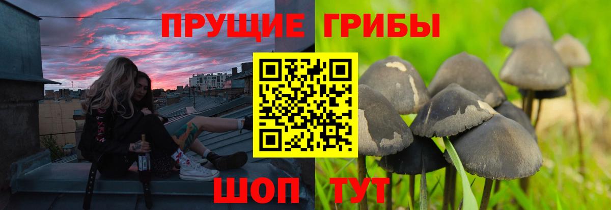 Галлюциногенные грибы мицелий Алушта