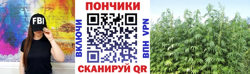 Бошки Шишки ГИДРОПОН  цена   Алушта 